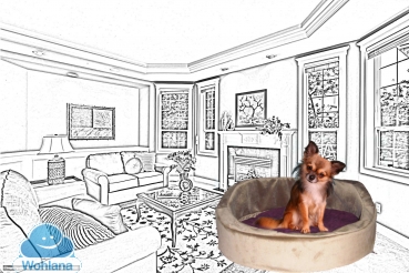 Hundekorb, Alles für den Hund, Hundebett Aschaffenburg, Exklusive Hundebetten